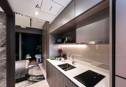 Piccadilly Grand (D8), Apartment #469340041